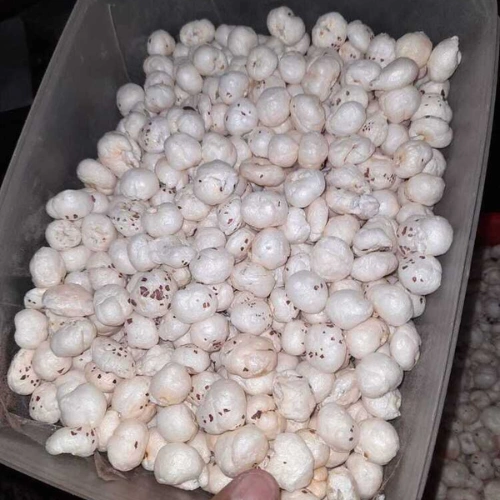 Broken Fox Nuts